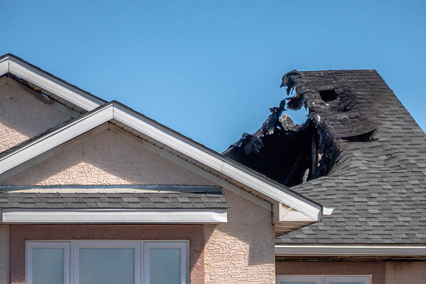 Top rated local Board Up Services specialists in Phoenix, AZ
